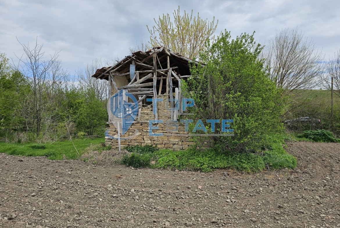 Голям парцел със стара къща в с. Драгомирово - 0