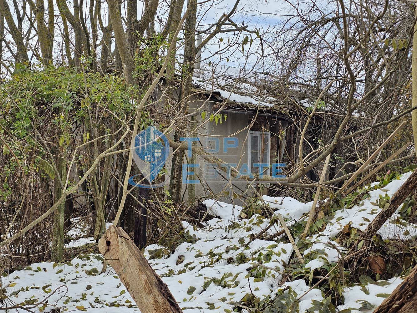 Парцел със стара къща с кладенец в центъра на село Горски Сеновец, община Стражица - 0