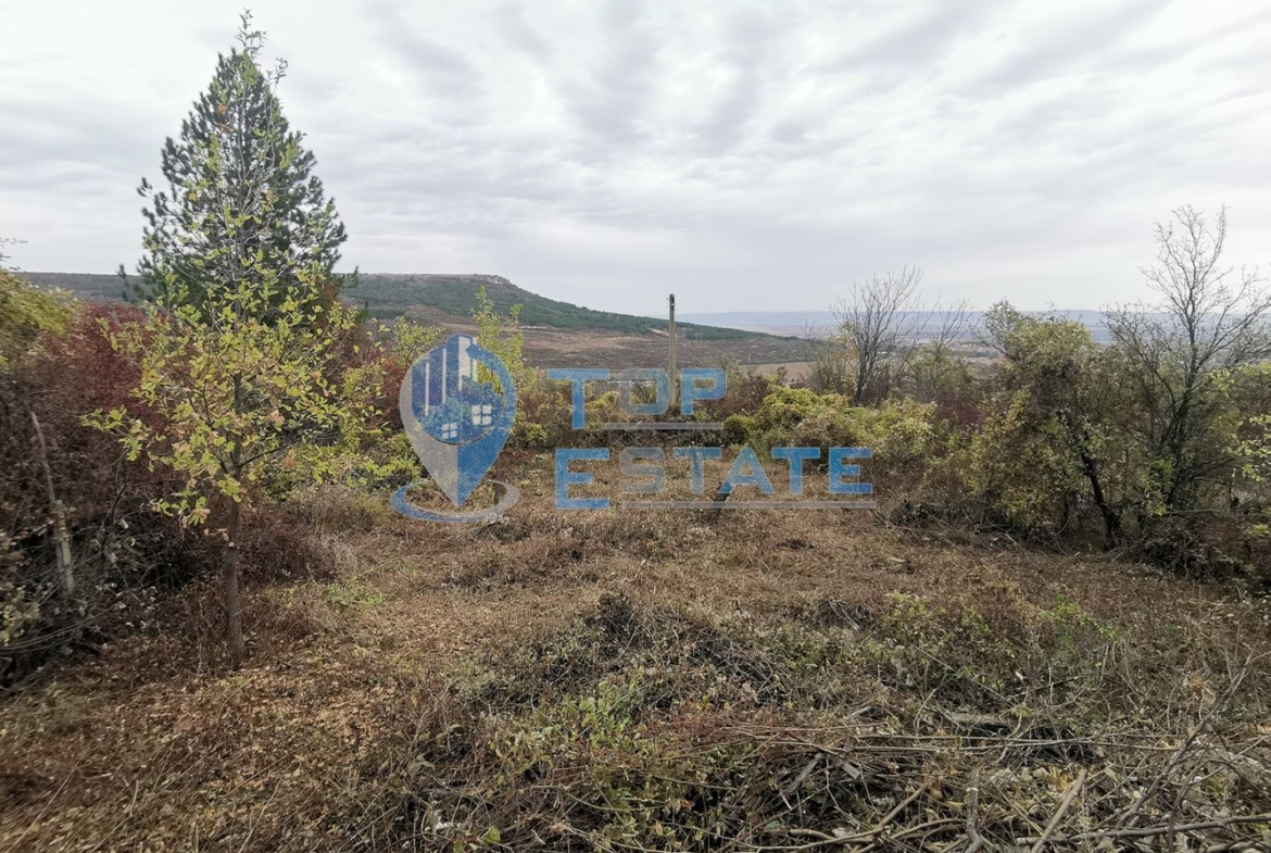 Парцел със стара къща във вилната зона на град Горна Оряховица, област Велико Търново - 0