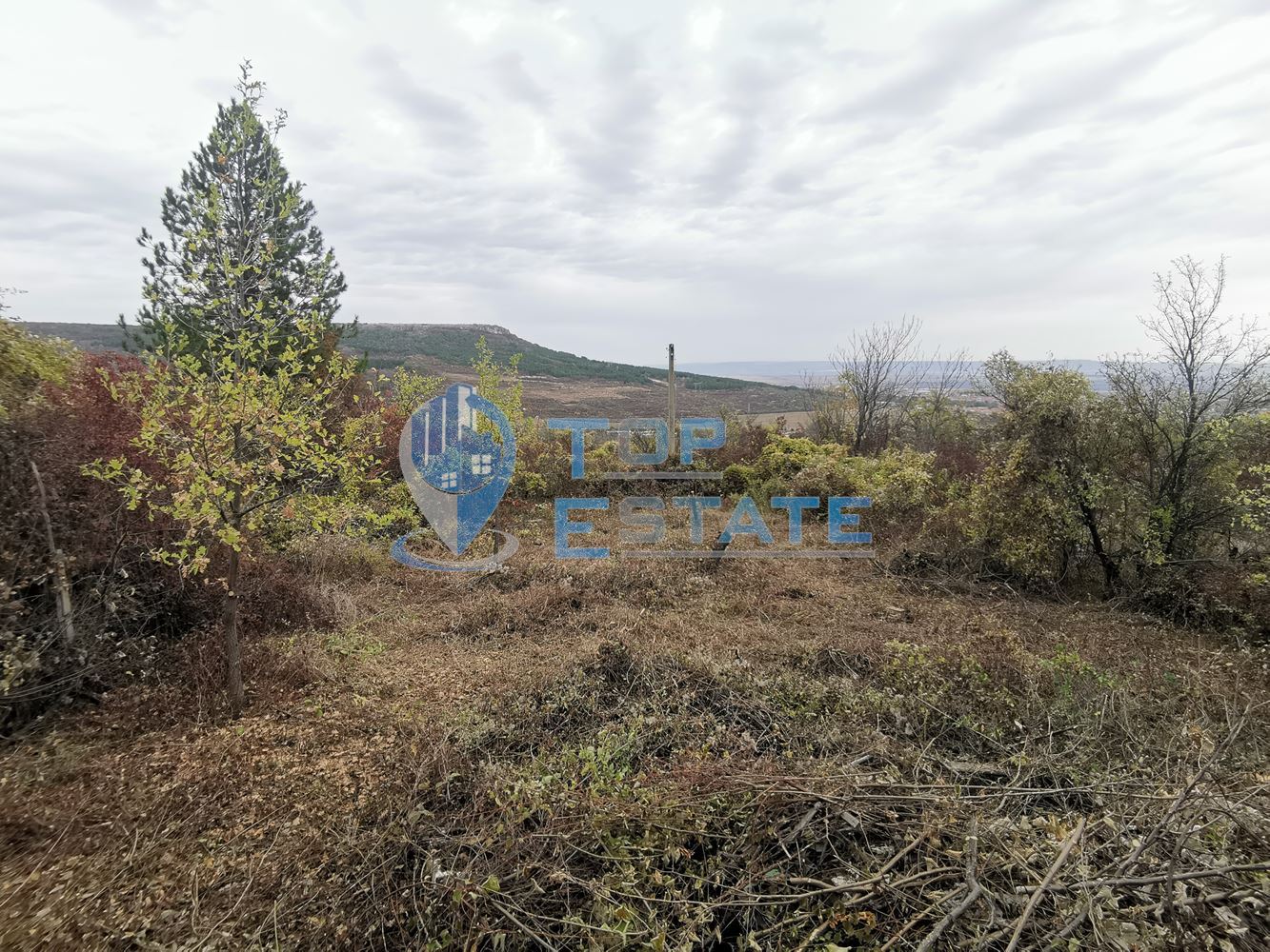 Парцел със стара къща във вилната зона на град Горна Оряховица, област Велико Търново - 0