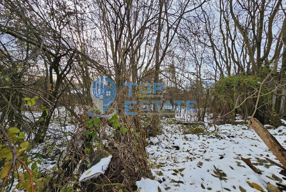 Парцел със стара къща с кладенец в центъра на село Горски Сеновец, община Стражица - 0