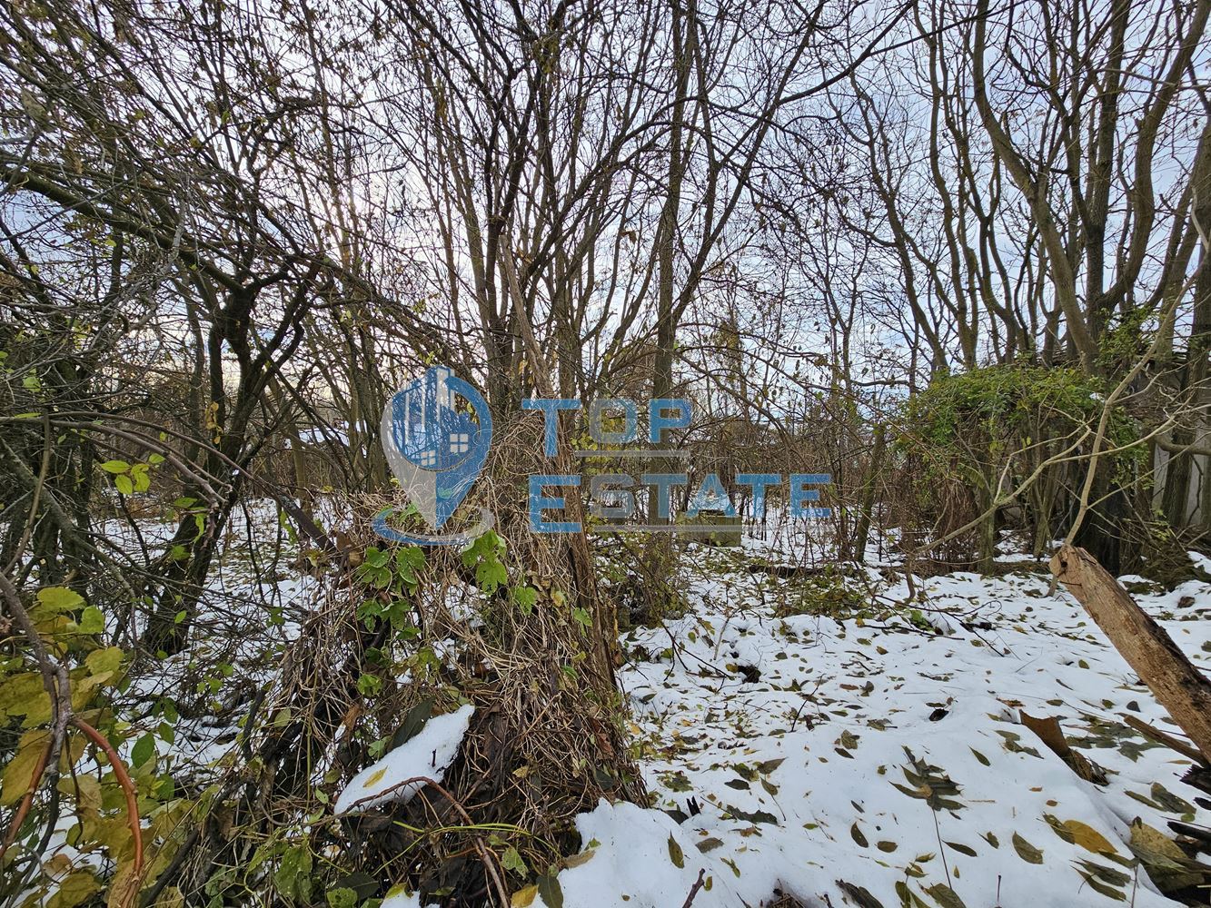 Парцел със стара къща с кладенец в центъра на село Горски Сеновец, община Стражица - 0