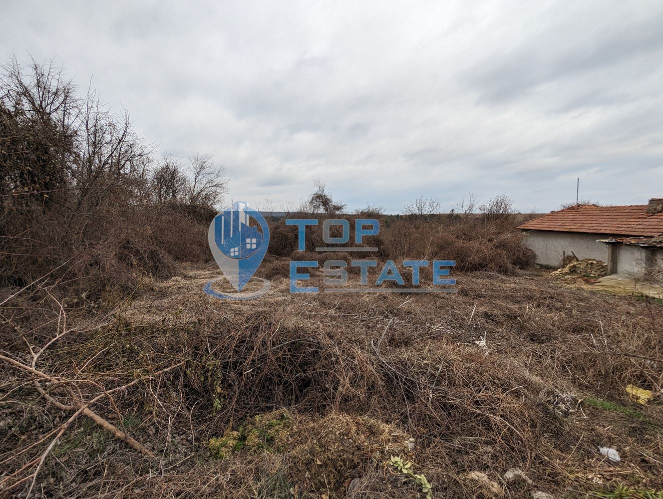 Парцел със стара къща в село Орловец - 0