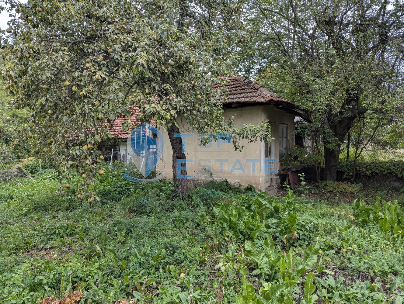 Двуетажна полумасивна къща с голям двор в централната част на град Плачковци - 0