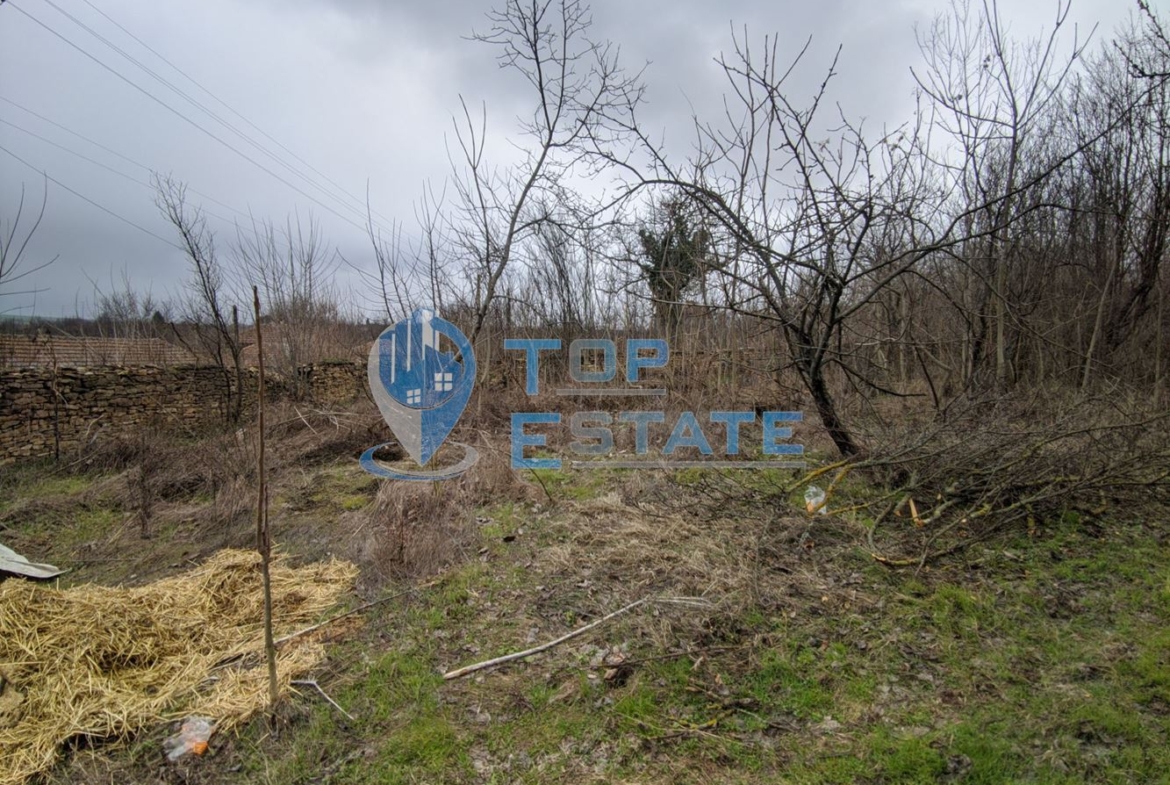 Парцел със стара къща в село Долна Липница - 0