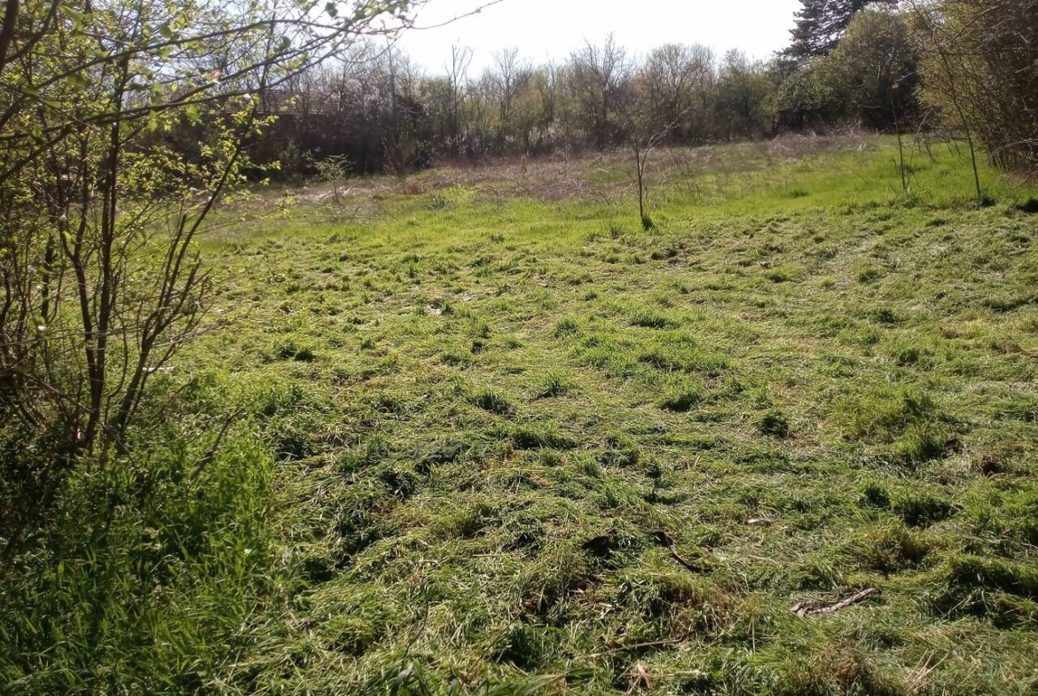 Парцел в регулация в село Червена, община Свищов, област Велико Търново - 0