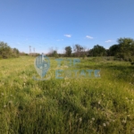 Голям парцел в регулация в покрайнните на село Първомайци, област Велико Търново - 0