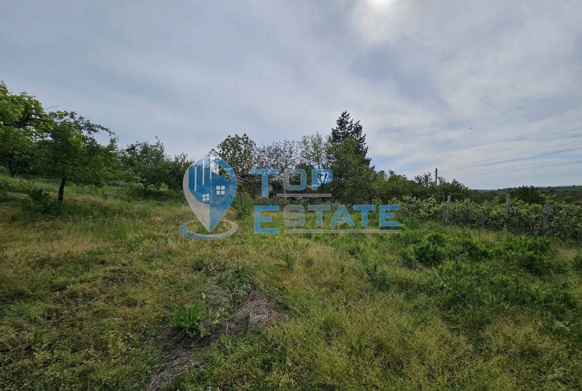 Поддържана къща с голям двор и гараж в село Ново Градище - 0