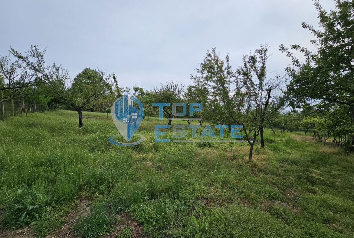 Поддържана къща с голям двор и гараж в село Ново Градище - 0