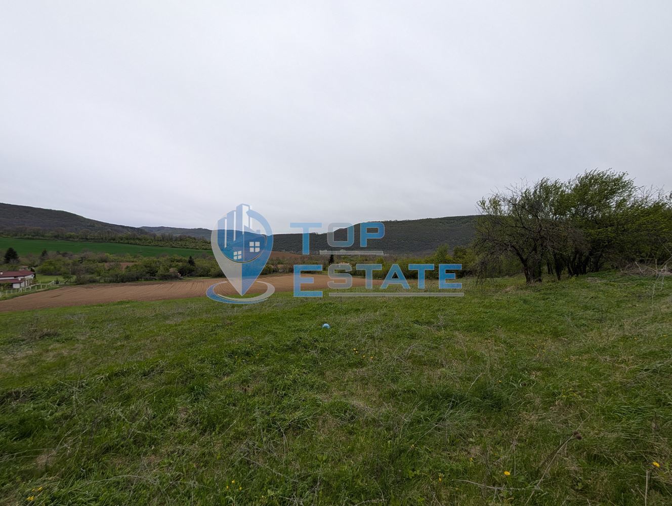 Едноетажна реновирана къща с огромен двор 11 дка в село Сливовица - 0