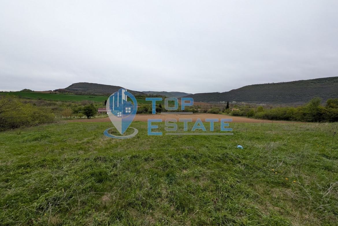 Едноетажна реновирана къща с огромен двор 11 дка в село Сливовица - 0