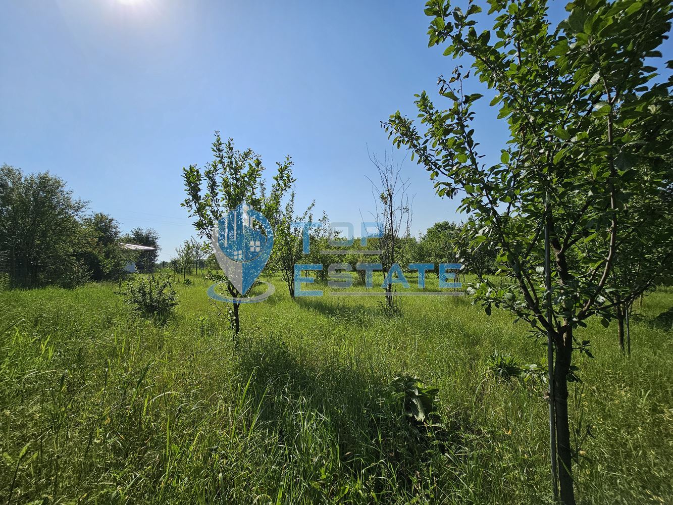 Парцел в регулация с ток, два кладенеца и постройка в село Правда, област Велико Търново - 0