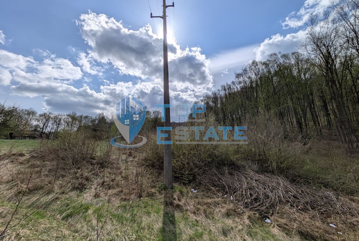 Парцел в регулация в близост до центъра на град Плачковци - 0