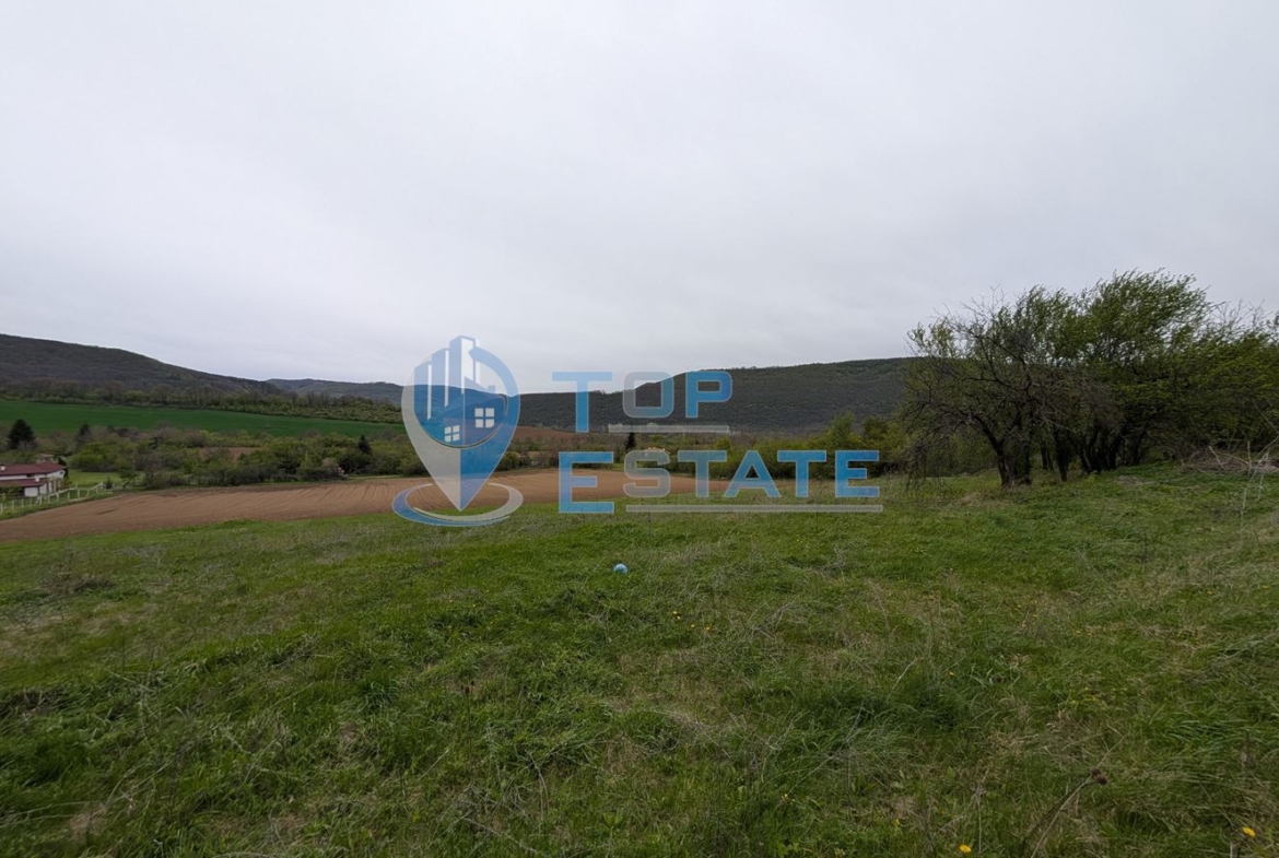 Голям парцел в регулация в село Сливовица - 0