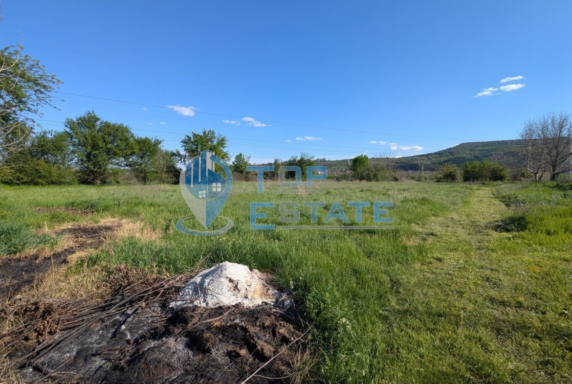 Голям парцел в регулация в покрайнните на село Първомайци, област Велико Търново - 0