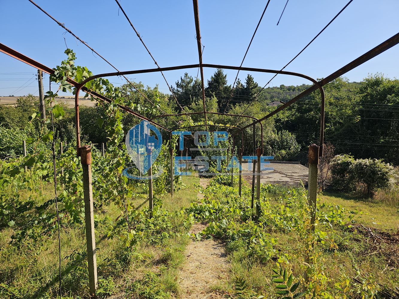 Тухлена къща с вътрешна тоалетна, гараж и голям двор в село Българско сливово, област В. Търново - 0