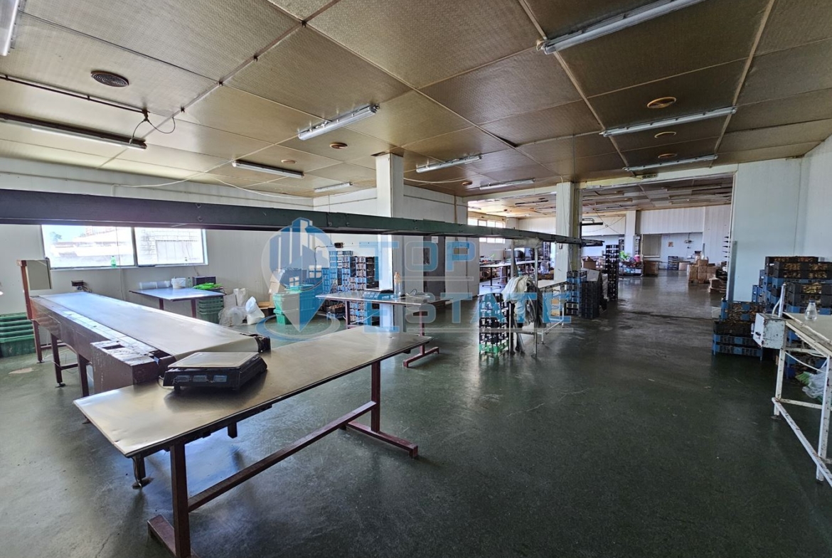 Промишленa сграда със собствен трафопост на главен път Русе - Свиленград в село Поликраище - 0