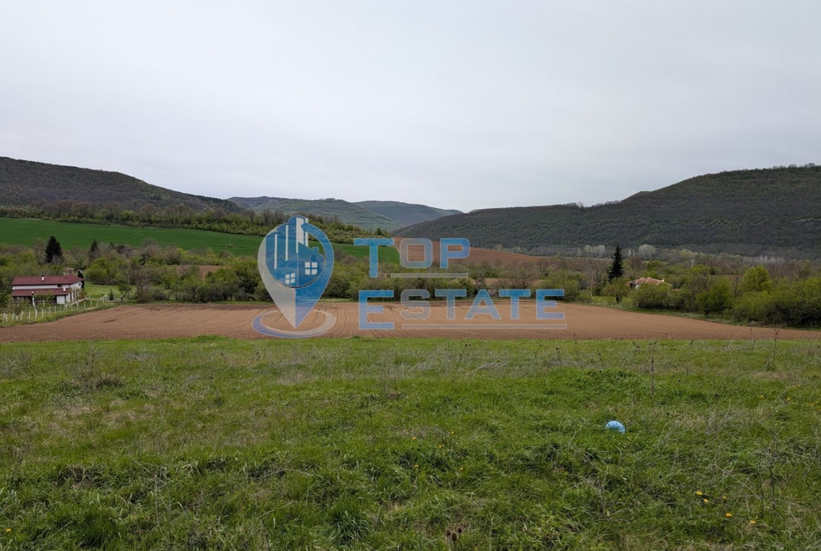 Едноетажна реновирана къща с голям двор в село Сливовица - 0