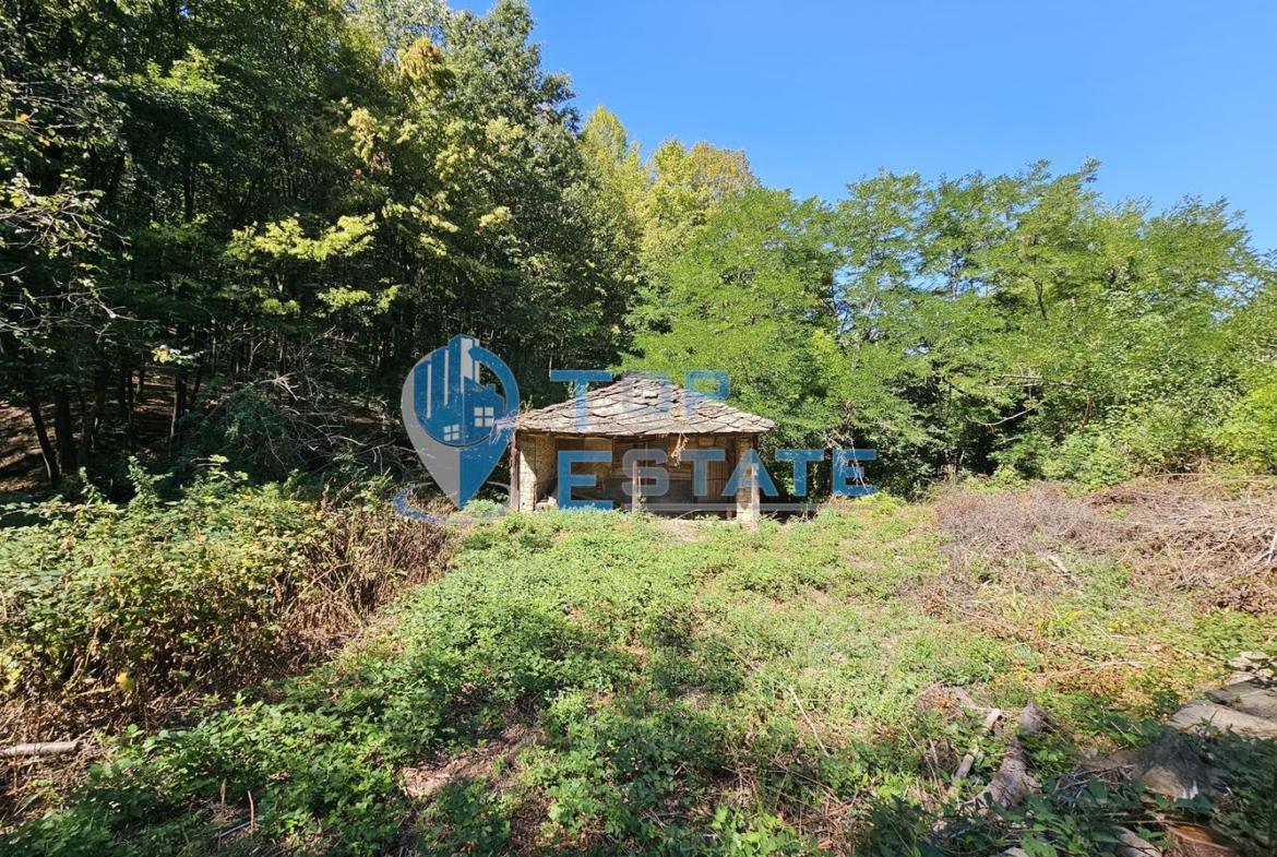 Парцел с каменна постройка до гора и поточе в квартал Златари, град Габрово - 0