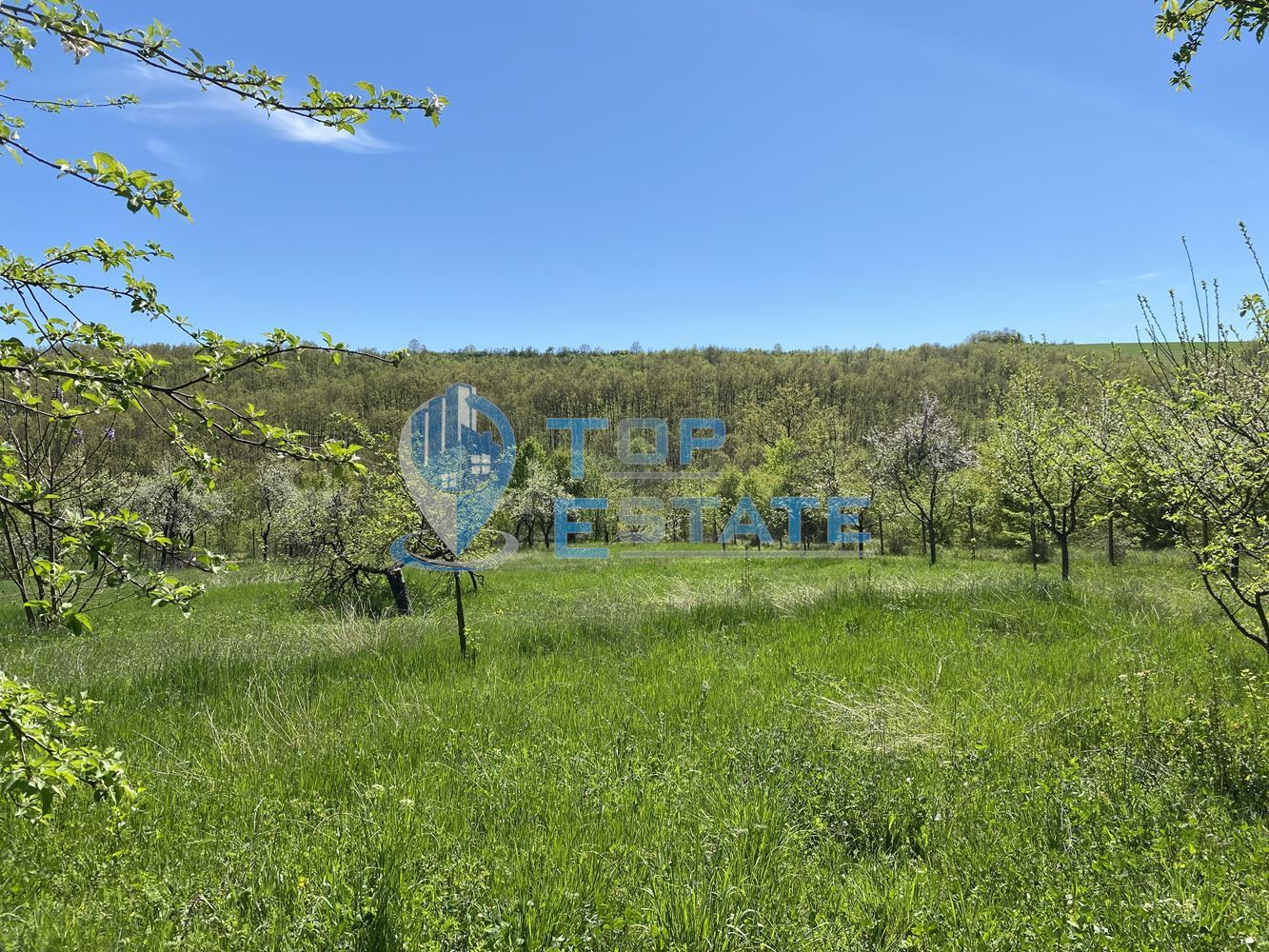 Парцел с панорамна гледка в село Длъгня, област Габрово-0 Парцел с панорамна гледка в село Длъгня, област Габрово - 0