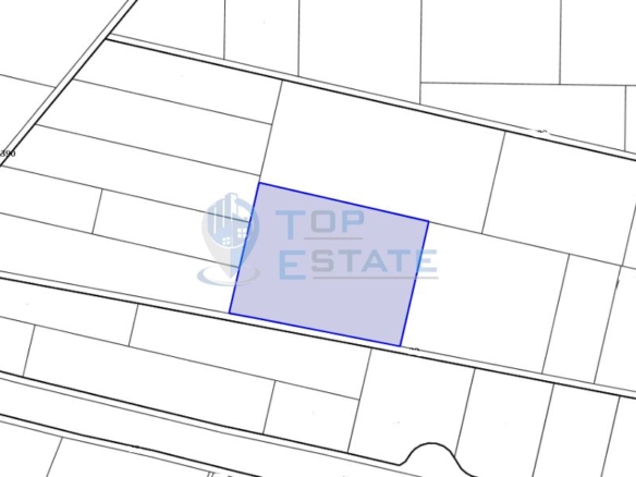 Земеделска земя в с. Леденик, област Велико Търново - 0