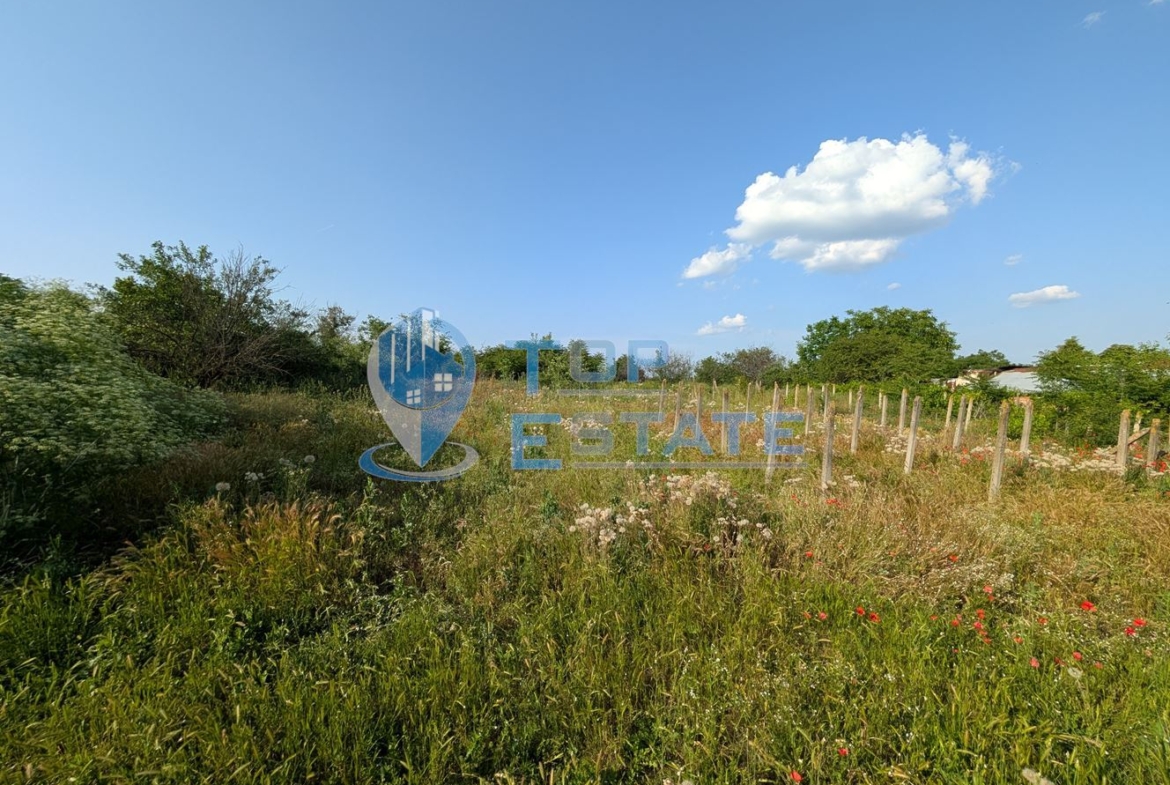 Едноетажна къща с множество стопански постройки и голям двор в село Хаджидимитрово - 0