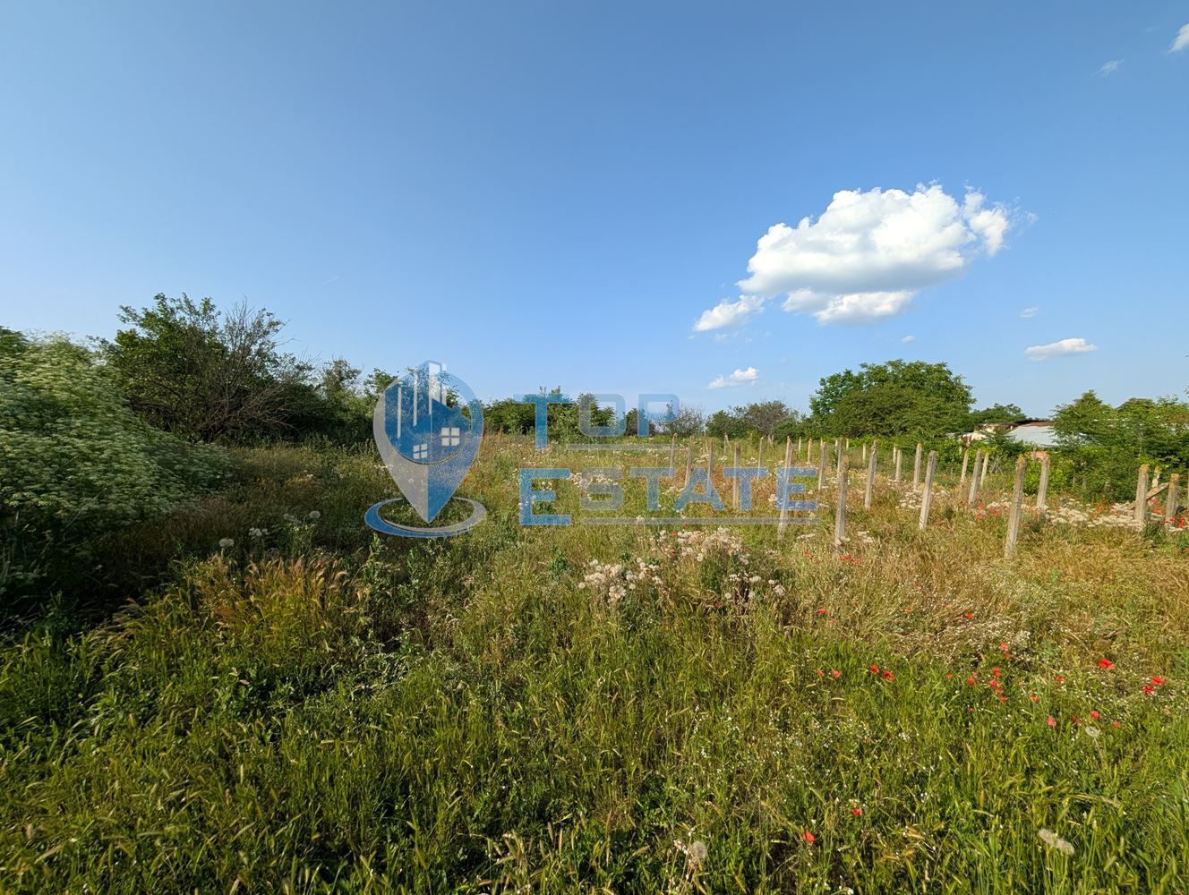 Едноетажна къща с множество стопански постройки и голям двор в село Хаджидимитрово - 0