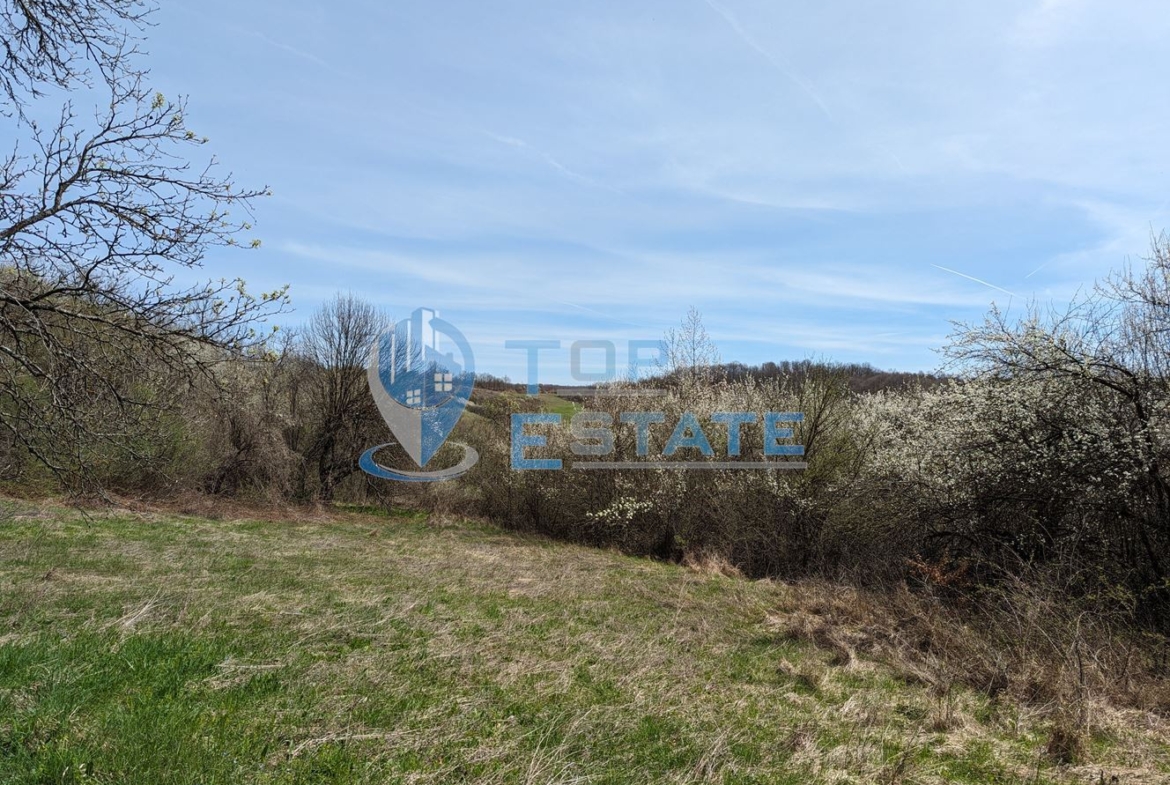 Парцел в регулация със стопанска постройка в Еленския балкан - 0