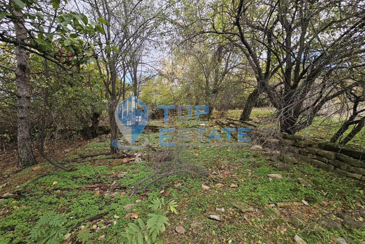 Голям парцел със стара къща в село Ново градище, община Стражица - 0