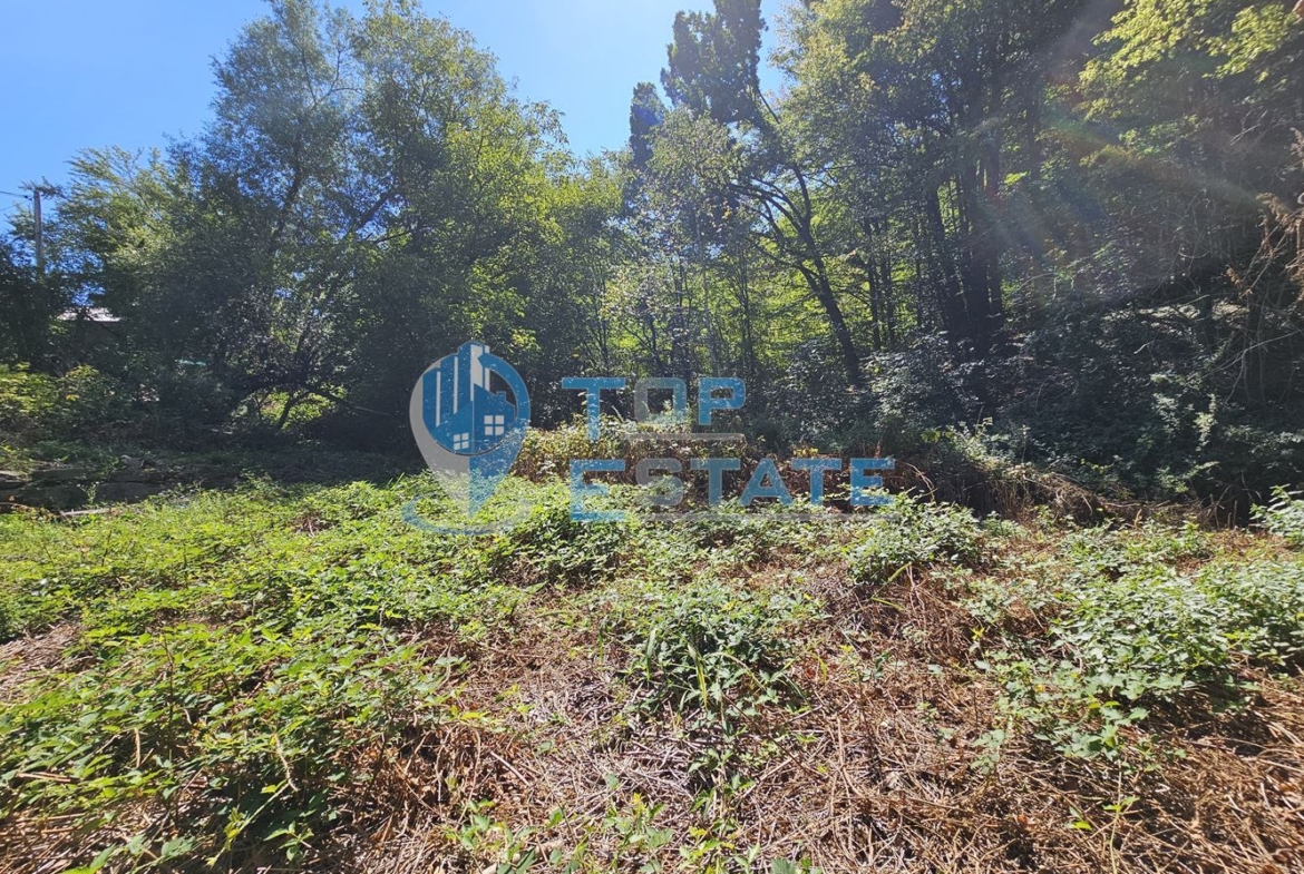 Парцел с каменна постройка до гора и поточе в квартал Златари, град Габрово - 0