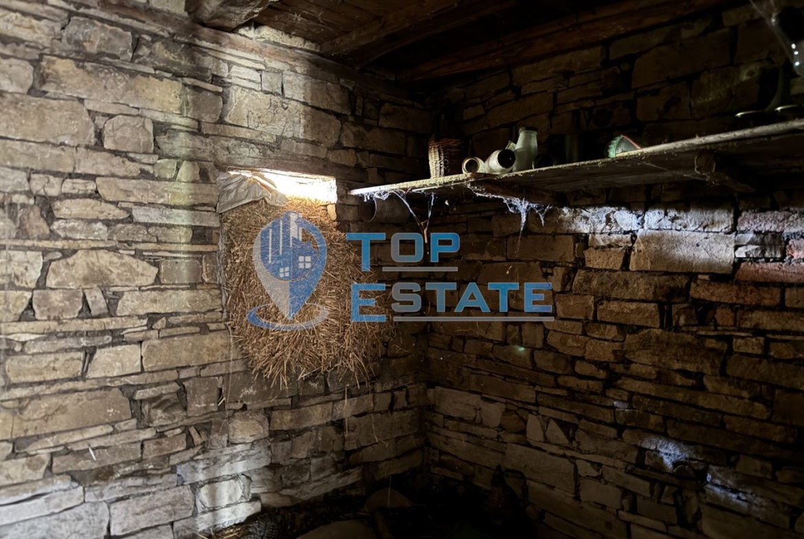 Двуетажна тухлена къща с голям двор в село Патреш, област Велико Търново - 0