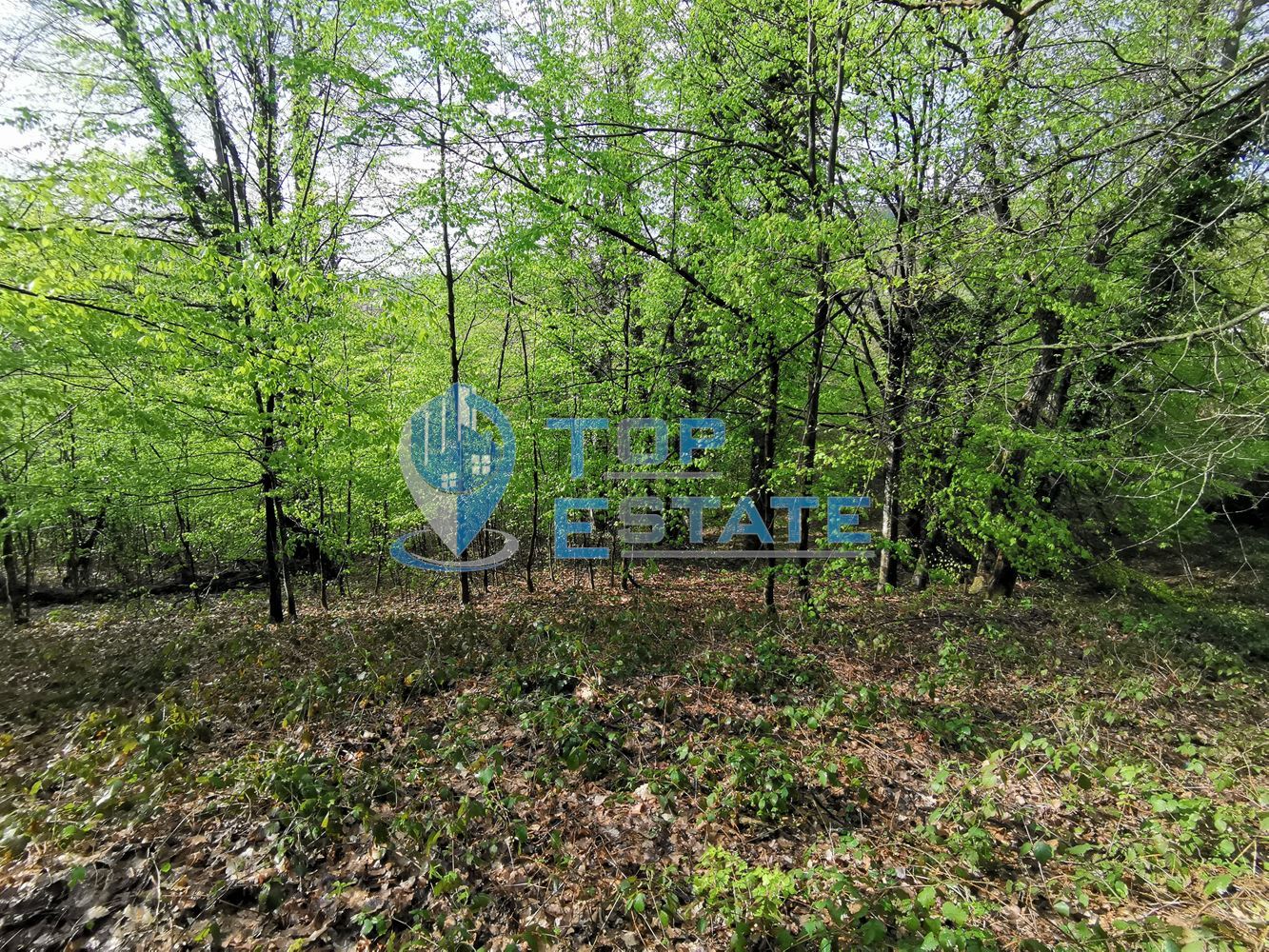 Парцел в регулация в с. Боженци-0 Парцел в регулация в с. Боженци - 0