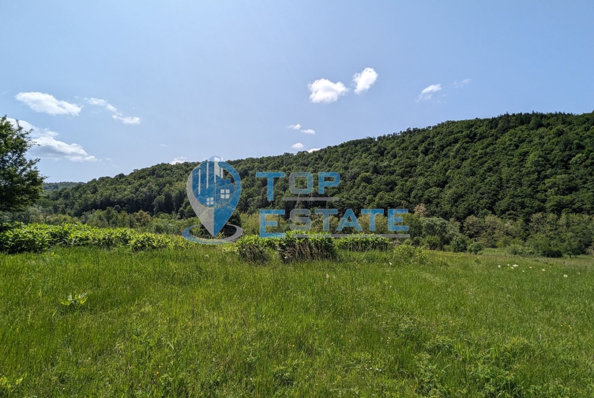 Голям парцел с панорамна гледка в близост до центъра на село Войнежа - 0