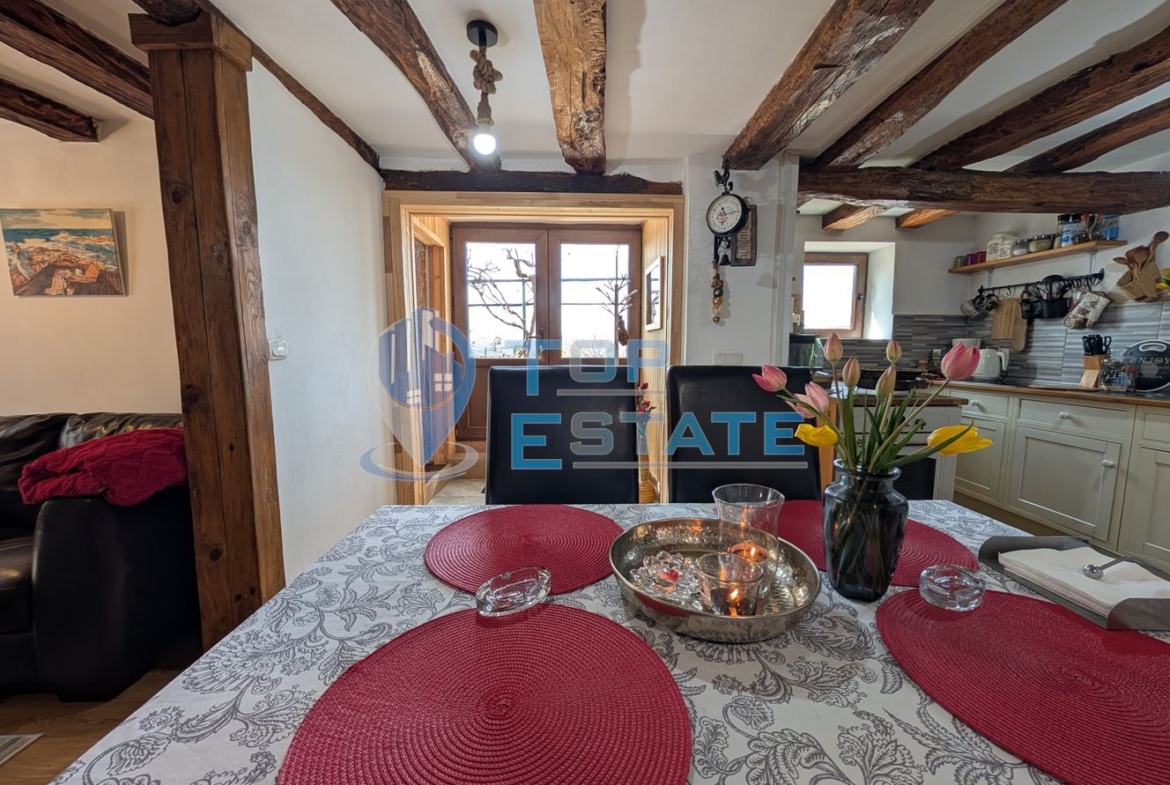 Двуетажна реновирана къща с красива панорама в село Вишовград - 0