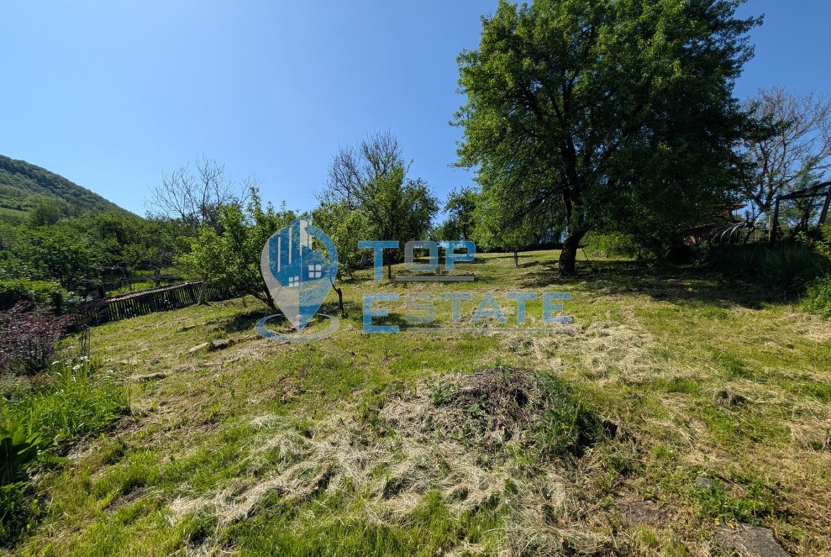 Автентична реновирана къща в град Елена - 0