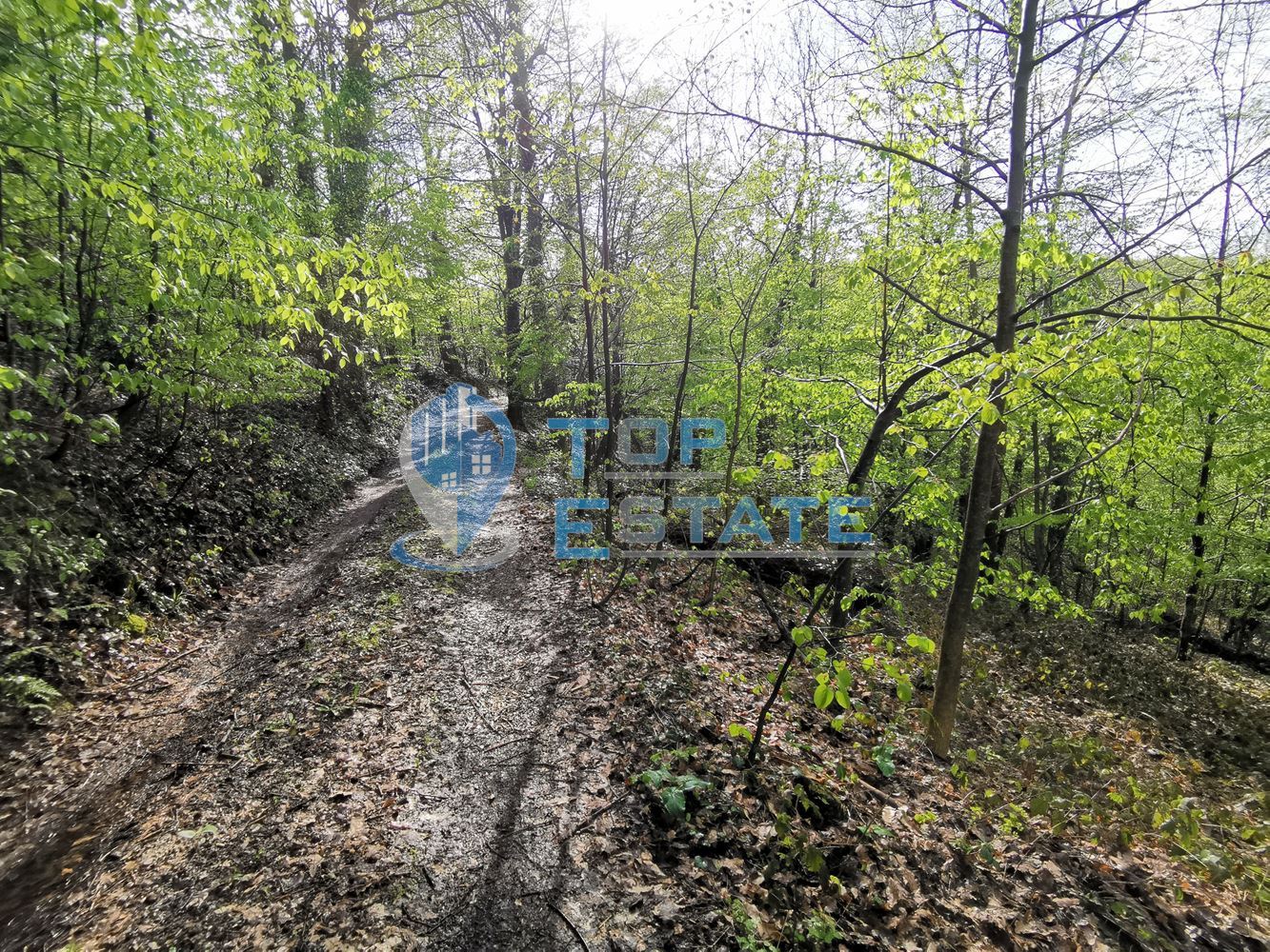 Парцел в регулация в с. Боженци-0 Парцел в регулация в с. Боженци - 0