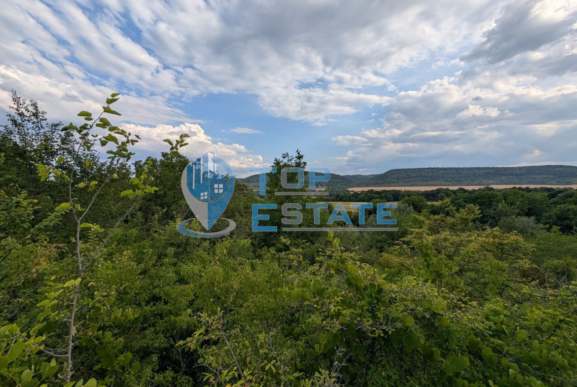 Вила във вилната зона на село Леденик - 0