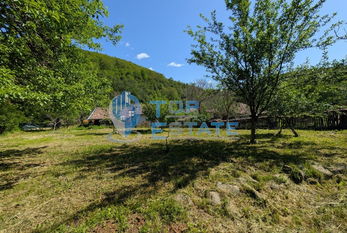 Автентична реновирана къща в град Елена - 0