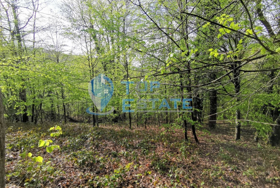 Парцел в регулация в с. Боженци - 0