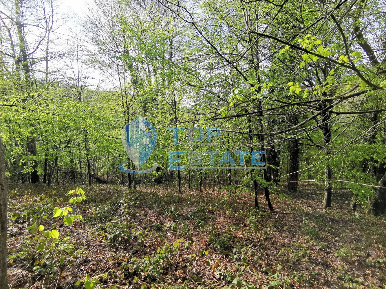 Парцел в регулация в с. Боженци-0 Парцел в регулация в с. Боженци - 0