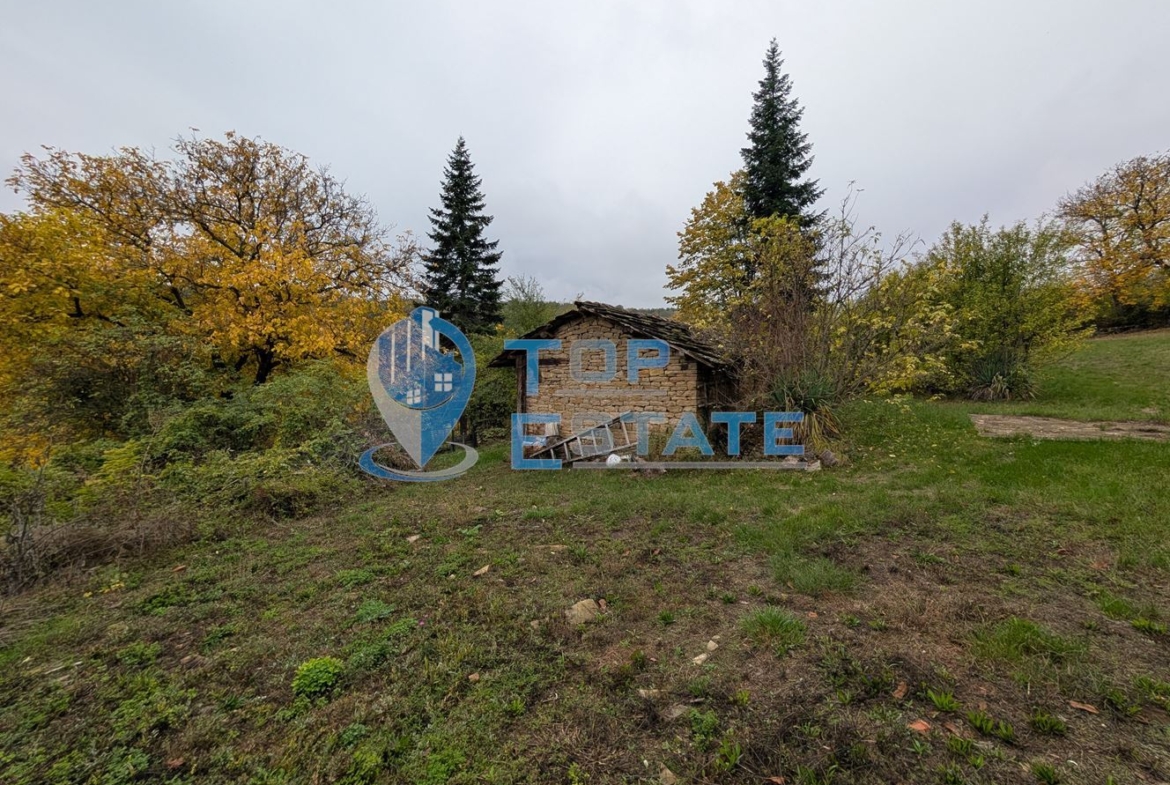 Двуетажна автентична къща с голям двор в село Лесичарка - 0