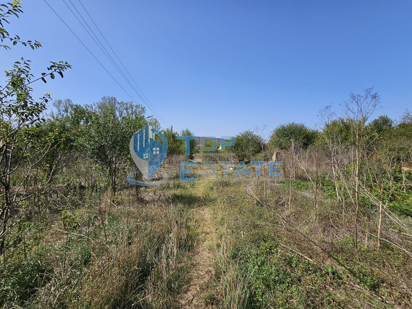 Промишлен имот с огромен парцел с трафопост в село Садина-0 Промишлен имот с огромен парцел с трафопост в село Садина - 0