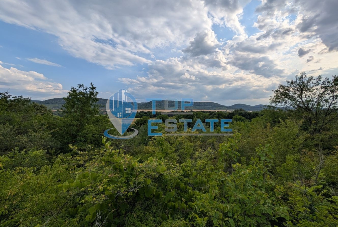 Вила във вилната зона на село Леденик - 0