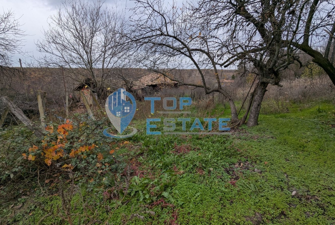 Голям парцел със стара къща в с. Балканци, общ. Стражица, обл. В.Търново - 0