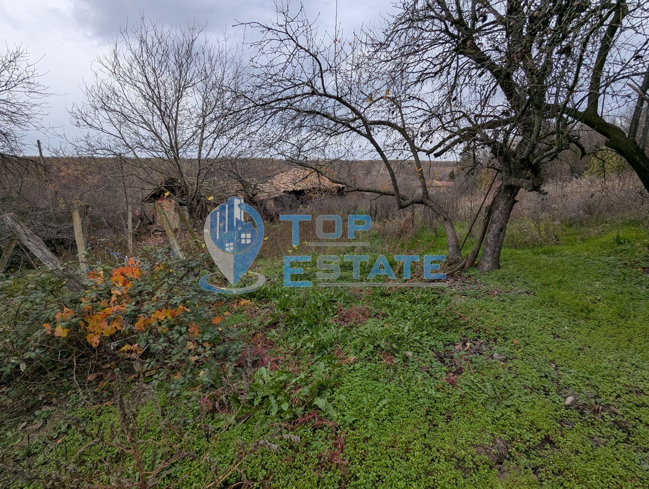 Голям парцел със стара къща в с. Балканци, общ. Стражица, обл. В.Търново-0 Голям парцел със стара къща в с. Балканци, общ. Стражица, обл. В.Търново - 0