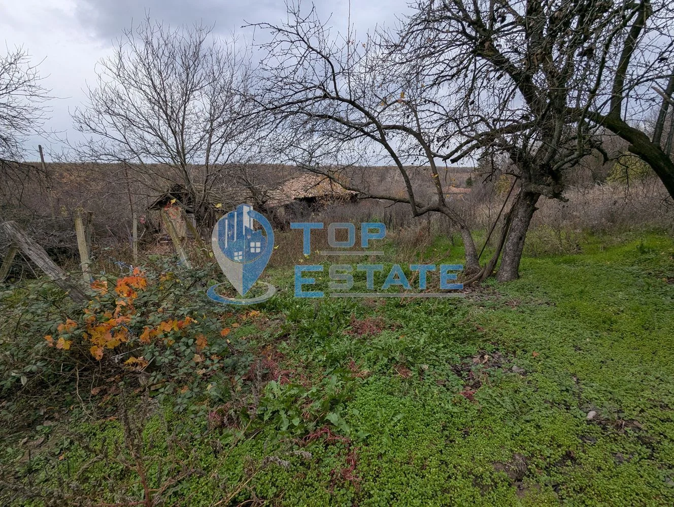 Голям парцел със стара къща в с. Балканци, общ. Стражица, обл. В.Търново - 0