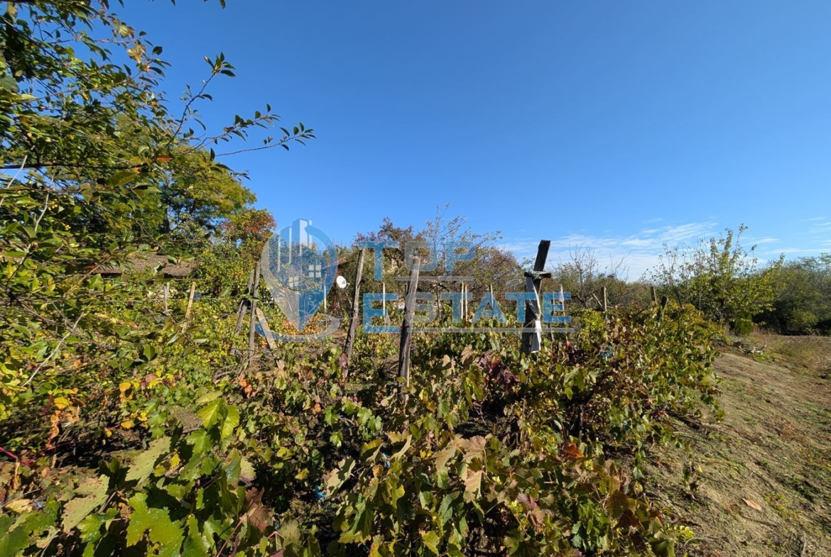 Двуетажна къща с голям двор и кладенец в село Сломер - 0