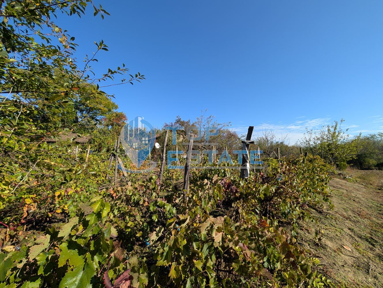 Двуетажна къща с голям двор и кладенец в село Сломер - 0