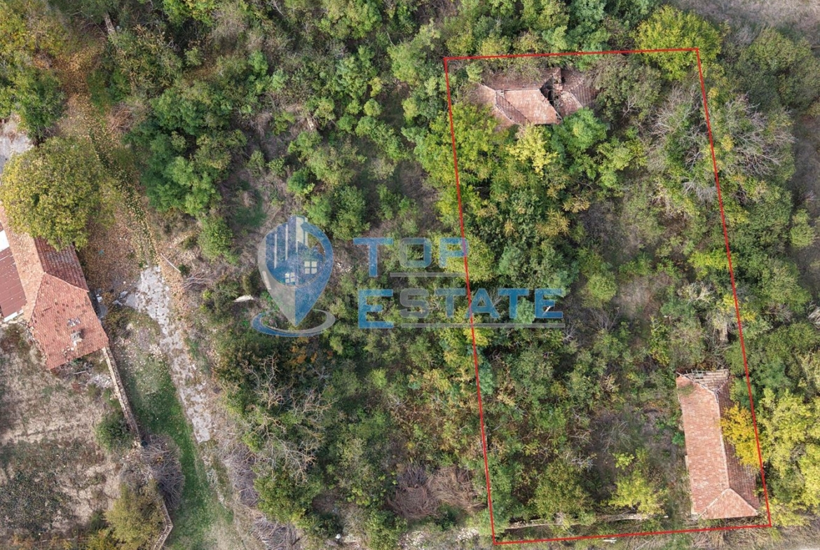 Парцел със стара къща в село Долна Липница - 0