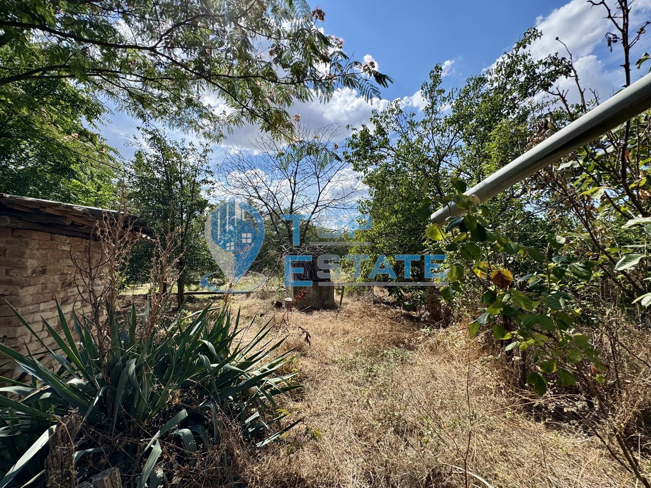 Тухлена къща с кладенец и голям двор в село Александрово, област Велико Търново - 0